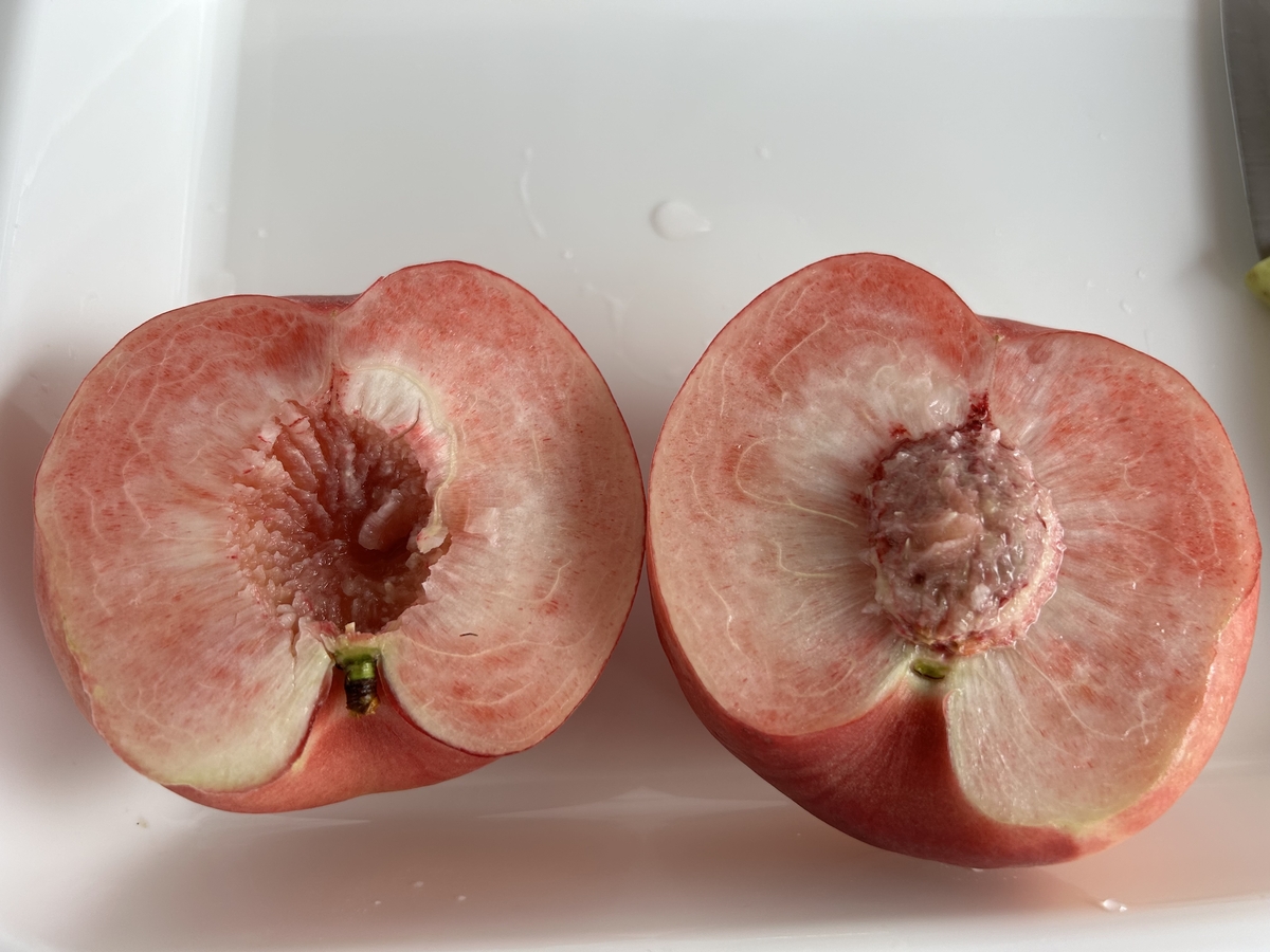 ももクラブ 3kgコース | 王将果樹園